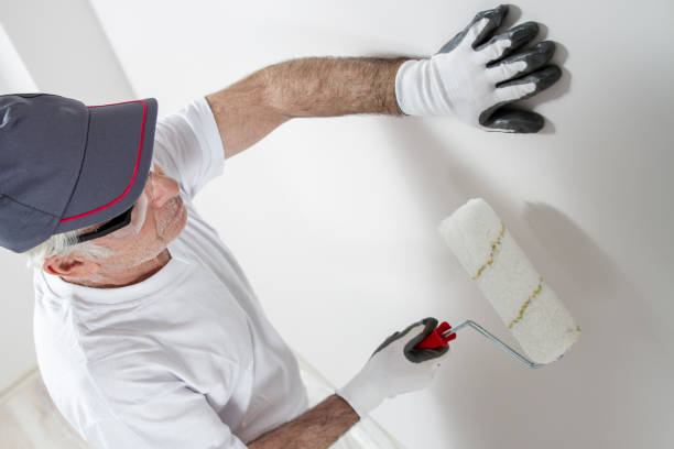 Best Forensic Mold Investigation  in Stow, OH
