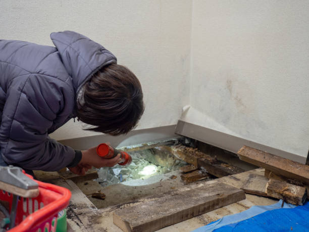 Best Real Estate Mold Inspection  in Stow, OH
