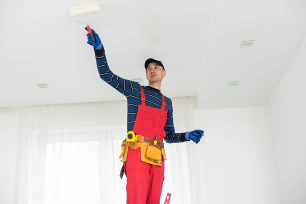 Best Mold Odor Removal Services  in Stow, OH
