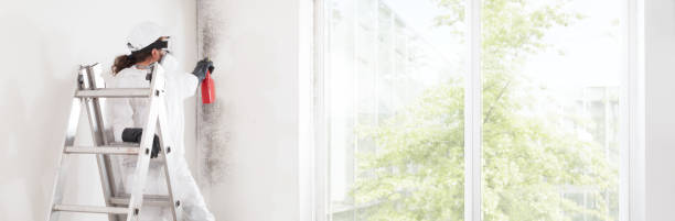 Best Real Estate Mold Inspection  in Stow, OH